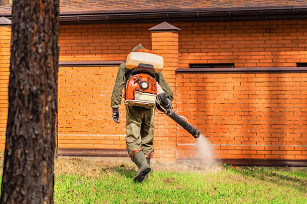 Trusted Ant Control service in Elma, WA - Nex Pest Control